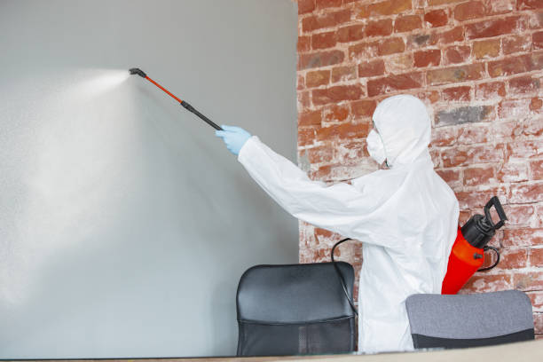 Best Real Estate Mold Inspection  in Jericho, NY
