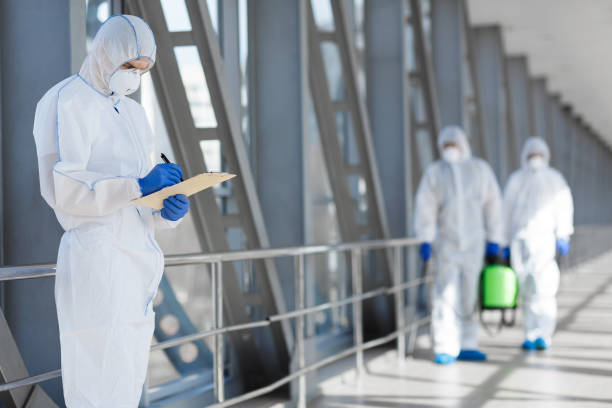 Jericho, NY Mold Removal Company