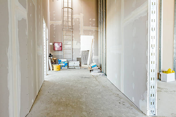 Best Mold Odor Removal Services  in Jericho, NY